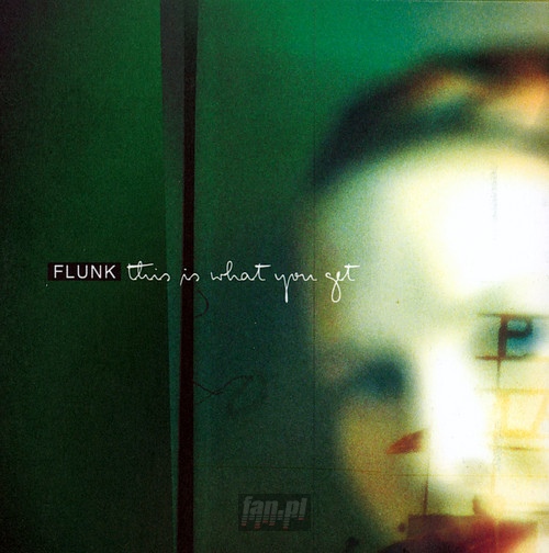 This Is What You Get - Flunk