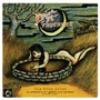 Fine Frint - Drive By Truckers