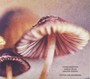 Tatoos & Mushrooms - Steven Bernstein  /  Marcus Rojas  /  Kresten Osgood