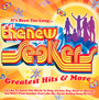 Greatest Hits & More - The New Seekers 