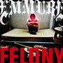 Felony - Emmure