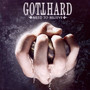 Need To Believe - Gotthard