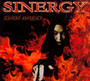 To Hell & Back - Sinergy