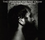 The Sparrow & The Crow - William Fitzsimmons