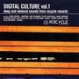 Digital Culture vol.1 - V/A
