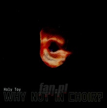 Why Not In Choir - Holy Toy