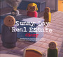 Diary - Sunny Day Real Estate