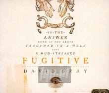 Fugitive - David Gray