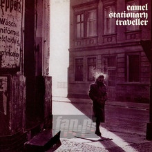 Stationary Traveller - Camel