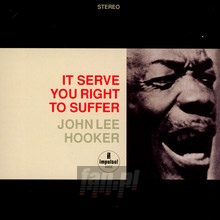 It Serves You Right - John Lee Hooker 