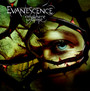 Anywhere But Home - Evanescence