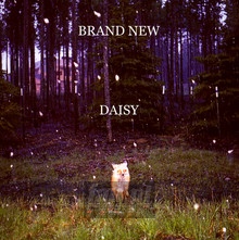 Daisy - Brand New