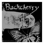 15/Black Butterfly - Buckcherry