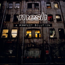 A Perfect Solution - Mesh