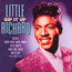 Rip It Up - Richard Little Rip It Up - Richard Little