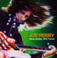 Have Guitar Will Travel - Joe Perry  -Project-