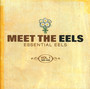 Meet The EELS - EELS