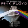 Top Musicians Play Pink Floyd - Tribute to Pink Floyd