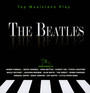 Top Musicians Play The Beatles - Tribute to The Beatles