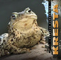 Deliberate Offence - Kresta