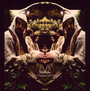 The Courage Of Others - Midlake