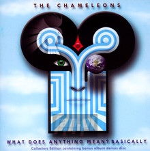 What Does Anything Mean - The Chameleons - bigger What Does Anything Mean - The Chameleons