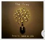 How To Save A Life - The Fray