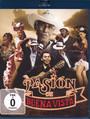Pasion De Buena Vista - Buena Vista   