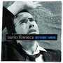Between Waves - David Fonseca