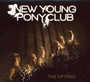 Optimist - New York Pony Club