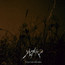 To Lay Like Old Ashes - Austere