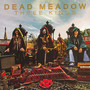 Three Kings - Dead Meadow