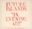 In Evening Air - Future Islands
