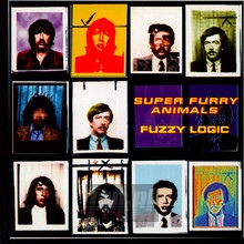 Fuzzy Logic - Super Furry Animals