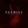 Best Of - Entwine
