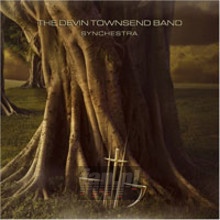 Synchestra - Devin Townsend