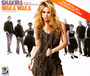 Waka Waka - Shakira ft.Freshlyground