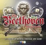 Beethoven: Experience - L.V. Beethoven
