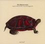 Song For Tracy The Turtle - Eric Boeren