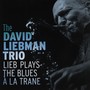 Lieb Plays The Blues A La Trane - David Liebman  -Trio-