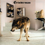 Grinderman 2 - Grinderman   