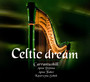 Celtic Dream - Carrantuohill