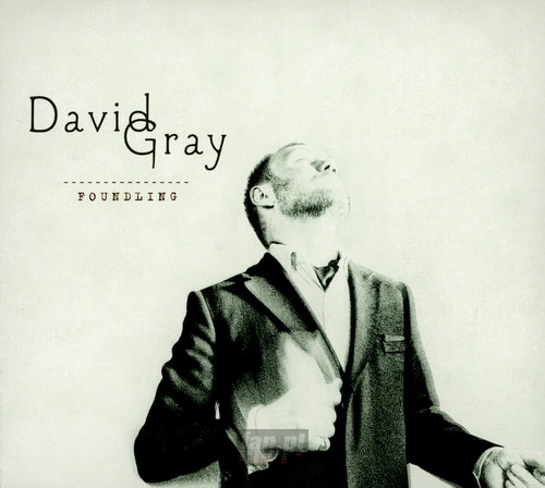 Foundling - David Gray