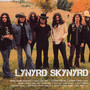 Icon   [Best Of] - Lynyrd Skynyrd