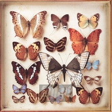 Rarities - Emiliana Torrini