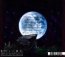 Moon In The Scorpio - Limbonic Art - powiększ Moon In The Scorpio - Limbonic Art