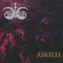 Split Album - Amestigon  /  Angizia