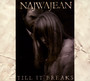 Till It Breaks - Najwajean