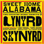 Sweet Home Alabama - Country Music Tribute - Tribute to Lynyrd Skynyrd
