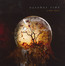 A Thin Shell - October Tide